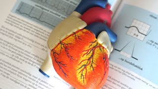 How to Treat an Enlarged Heart Naturally [upl. by Melamie]