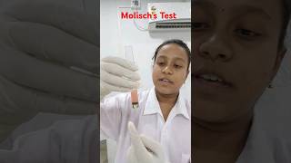 Molischs TestHelix BiolabBiochemistry Practical shorts [upl. by Phyllida844]