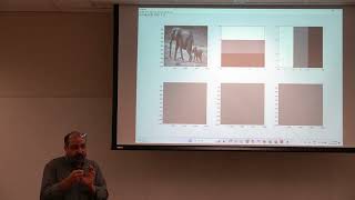 Ali Ghodsi Deep Learning Convolutional Neural Networks CNN Fall 2023 Lecture 6 [upl. by Enitsirc542]