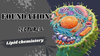 Bio Lipid 2 Lec 6 [upl. by Tubb]