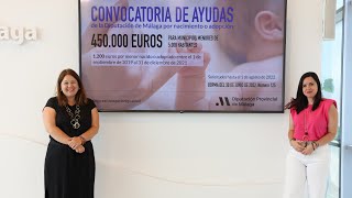 Presentación de las ayudas por nacimiento o adopción en municipios de menos de 5000 habitantes [upl. by Ecinaj561]