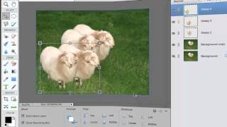 How to Use Layers in Photoshop Elements 12  Part 2  Working With Layers [upl. by Adnavoj]