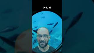 Vsauce Michael here [upl. by Saretta]