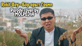 Rokit Bay  Бор арьст Гаамп  Parody cover by Molpedia 😅 [upl. by Ettenrahs]