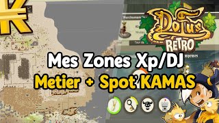 DOFUS RETRO TEMPORIS  MES ROUTES DONJONS XPKAMAS POUR AVANCER UN MAXIMUM [upl. by Hsitirb677]