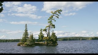 Algonquin 2024  McIntosh Lake Loop [upl. by Dwane]