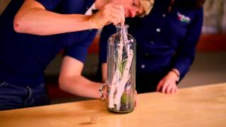 Build a Terrarium Using an Apothecary Bottle [upl. by Iarahs158]