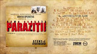 Parazitii  Antimilitie [upl. by Willie]