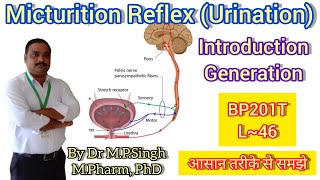 Micturition Reflex  Introduction amp Generation  Human Anatomy PhysiologyII  BP201T  L46 [upl. by Lezned]