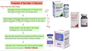 Vincristine amp Vinblastine Part 02  Industrial Production Estimation amp Utilization Part 18 [upl. by Adrell]