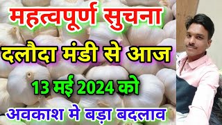 दलौदा मंडी से महत्वपूर्ण सुचना 13 मई 2024 Dalauda Mandi bhav important information Daloda Mandi [upl. by Atteugram]