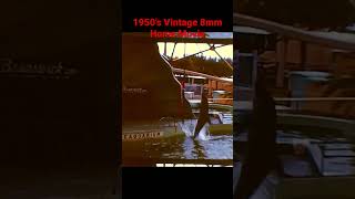 Rare Vintage 8mm film 1950’s 🐬 Home Movie dougsvintagefilms 8mm filmarchiving shorts [upl. by Ojeibbob]