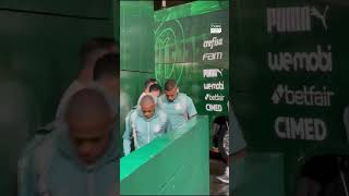 🟢⚪️ Palmeiras players arriving at the stadium 🏟 [upl. by Hannala]