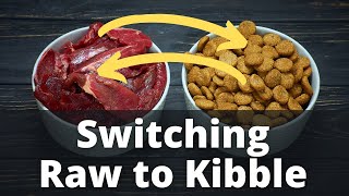 Switching Raw to Kibble Dog Food the Right Way [upl. by Orgalim]