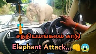 Elephant Attack  Sathyamangalam Forest  SUBSCRIBE OUR CHANNEL  Travel Time [upl. by Angelle]