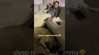 sleep na daw sila dog [upl. by Sinaj]