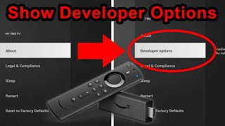 How to showrevealunhide Developer Options on Fire TV Stick 4K Max Cube Smart TV Firestick [upl. by Yeltneb894]