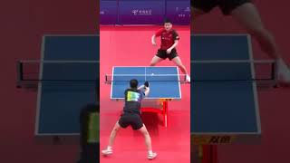 Ma Long vs Fan Zhendong 💀 pingpong tabletennis tenisdemesa tischtennis shorts [upl. by Enorel996]