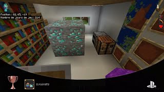 Minecraft  Trophée DIAMANT [upl. by Nonad]