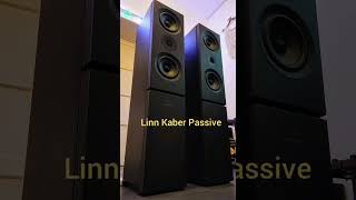 Linn Kaber Passive [upl. by Cavil]