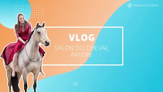 VLOG Préparation Salon du cheval Angers [upl. by Acima]