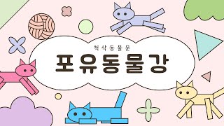 학습하기문강목과 생물분류기사동물포유동물강 20종 [upl. by Saxet]