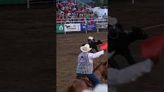 calf roping and tying rodeo cowboy shorts [upl. by Marquet612]