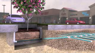 Filterra® Bioretention amp Biofiltration System Overview [upl. by Laforge]