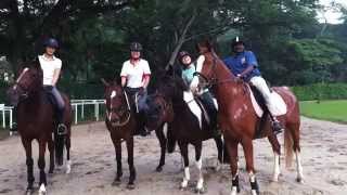 Daniel Sitranen  Horse Riding Instructor  Singapore Polo Club [upl. by Aitnwahs]