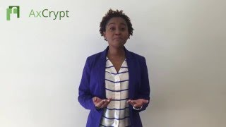 AxCrypt Pitch English [upl. by Ainegul734]