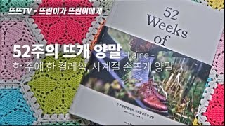 52주의 뜨개 양말 한 주에 한 켤레씩 사계절 손뜨개 양말 52 Weeks of Socks 리뷰 [upl. by Severson]