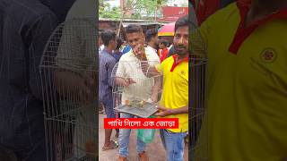 পাখি নিলো এক জোড়া  মিরপুর পাখির হাট  পাখি  Pakhi  পাখির হাট  Mirpur Pakhir Hat shorts birds [upl. by Carlick]