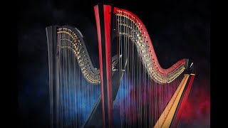 【Salvi Harps】ELECTRA The Future of Electroacoustic Harp quot エレクトロ・アコースティック・ハープの未来quot [upl. by Neiman]