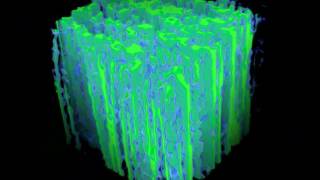 Density Field Model for Lignocellulose Mesostructure [upl. by Nylirad695]