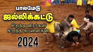 Palamedu Jallikattu  முடிஞ்சா தொட்டுப்பார்  பாலமேடு ஜல்லிக்கட்டு 2024  Vikatan [upl. by Lilian]