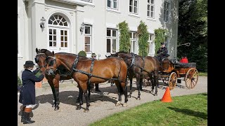 Historische Kutschen im Naturpark Westensee [upl. by Gellman500]