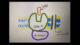 Ap bio cell signaling idk project [upl. by Naicad742]