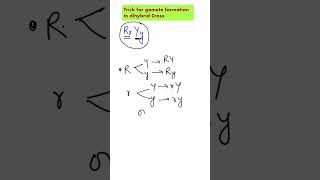 ShorttrickGamete formation in dihybrid crossheterozygous plantNeetncertbiology [upl. by Oicnerual408]