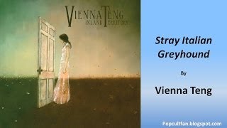 Vienna Teng  Stray Italian Greyhound Lyrics [upl. by Nimocks340]