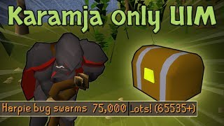 75000 Harpie Bugs The Final Clue Scroll  Karamja Only UIM 27 [upl. by Reitrac871]