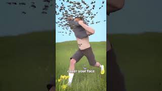 How to survive A swarm of bees shorts education [upl. by Hilda]