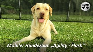 Mobiler Hundezaun quotAgilityFlashquot perfekt für den entspannten Campingurlaub mit Hund [upl. by Ellebasi]