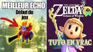 ZELDA TUTO EN VRAC 04  LE LYNEL  ZELDA TEARS OF THE KINGDOM [upl. by Aicele675]