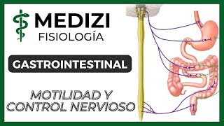 Clase 43 Fisiología Gastrointestinal  Motilidad y Control Nervioso IGdoctorpaiva [upl. by Llennol]