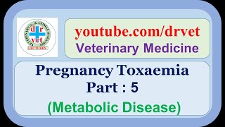 Pregnancy Toxaemia Part 5 [upl. by Esya]