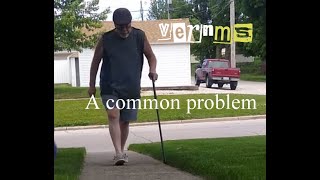 vernms  A common problem [upl. by Base]