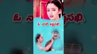 Kalisi naduddammoviesong teluguytshorts [upl. by Bodkin195]