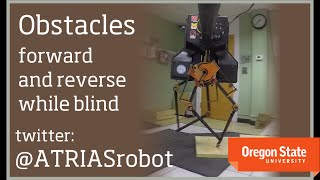 ATRIAS Robot Walking on an Obstacle Course  ForwardReverse while Blind [upl. by Yraillih]