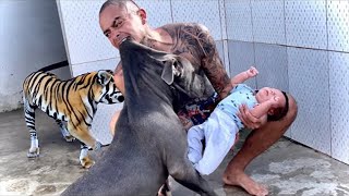 20 Parents Who Saved Their Children From Aggressive Animals [upl. by Janek]