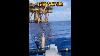 戶外釣魚：漁民在深海石油鑽井平臺使用電絞輪釣獲巨型石斑 船釣 釣魚 [upl. by Ahsenra]